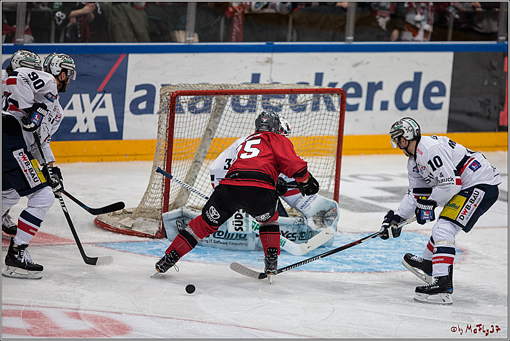 DEL, Koelner Haie - Eisbaeren Berlin, 12.02.2017